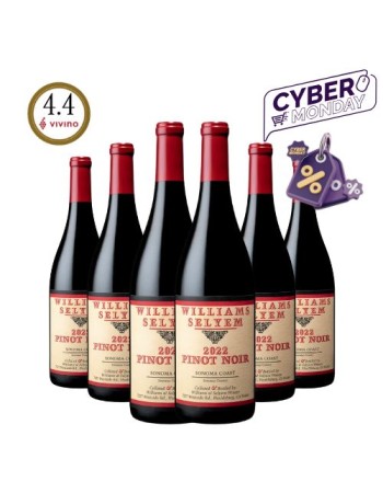 Buy 6 - 2022 Williams Selyem Sonoma Coast Pinot Noir..