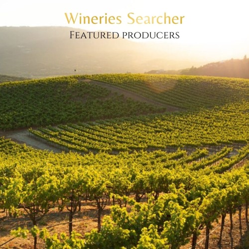 Wineries Searcher | Featured producers