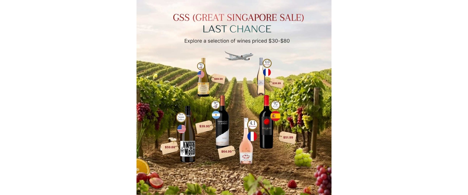 GSS Great Wine Sale Singapore: Last Chance to Taste the World