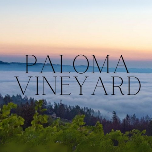 Great Holiday Gifts from Paloma Vineyard!